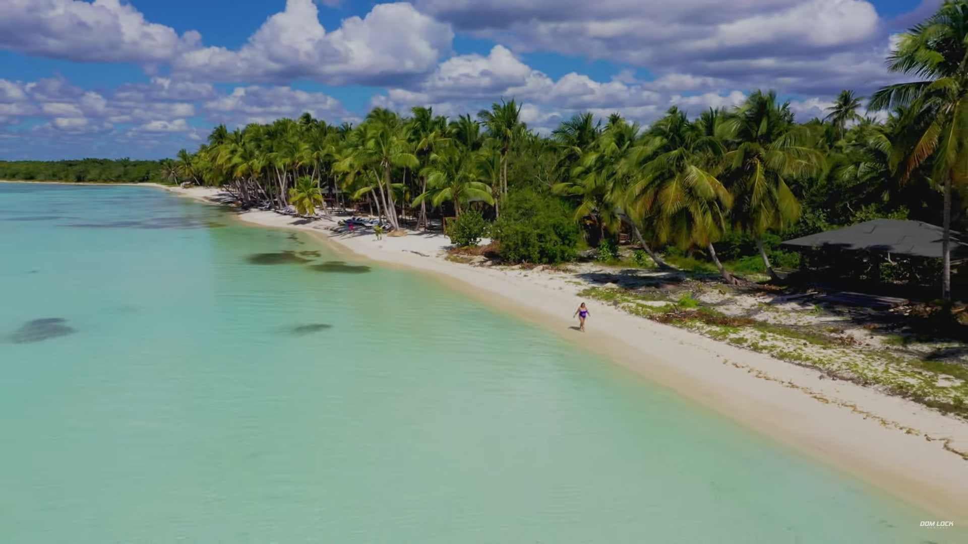 Aerial view of a tropical beach with palm trees, turquoise water, and a person walking along the shore